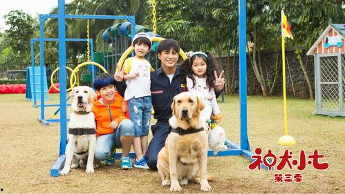 神犬小七第三季在线免费观看  第1张